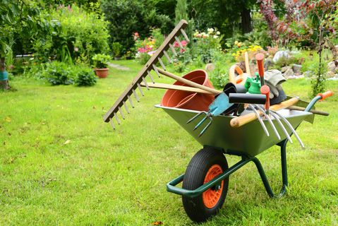 Baumarkt + Garten