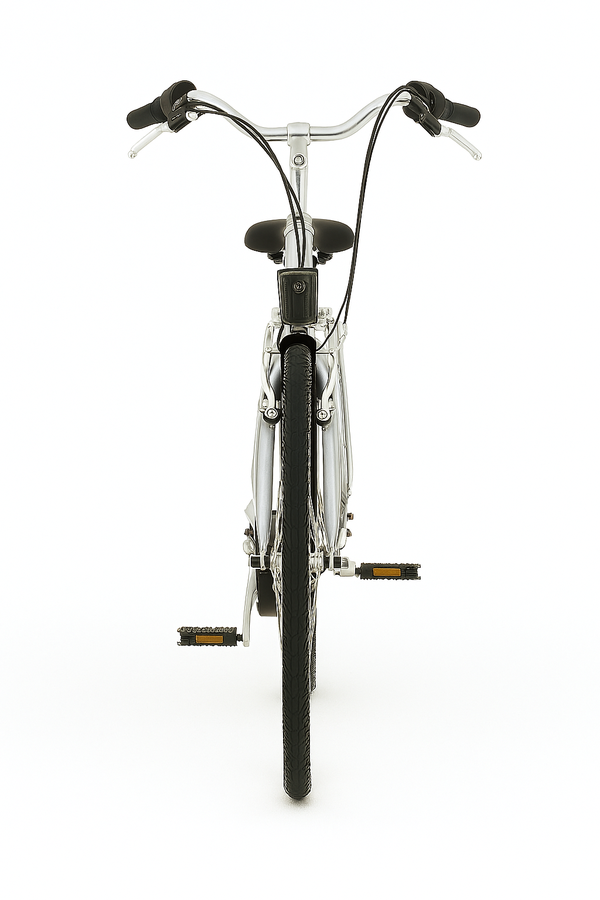 Damenrad "Nessi" 26"
Alu-light-Rahmen, Rahmenhöhe 48 cm
Sachs 7 Gang